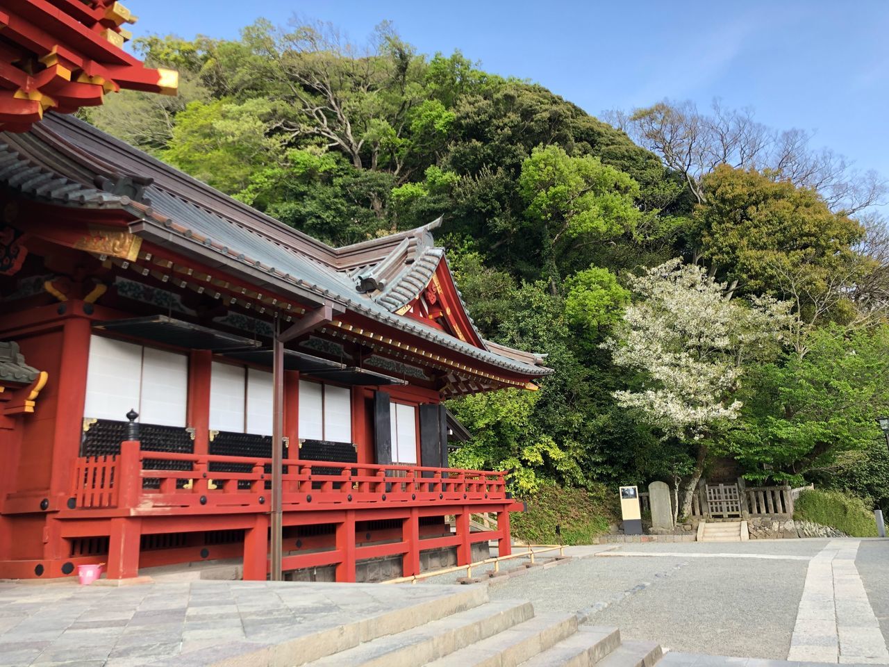 architecture, tree, built structure, plant, belief, place of worship, building, building exterior, religion, spirituality, nature, day, no people, travel destinations, roof, sky, outdoors, shrine