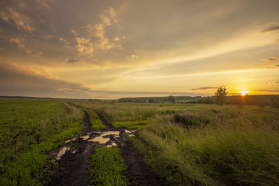 Scenic view of field against sky during sunset