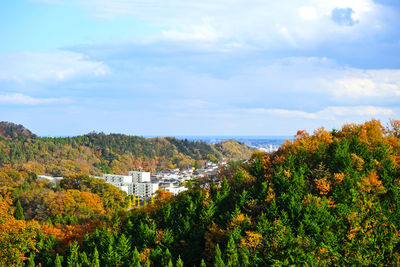 Plants and trees against sky during autumn