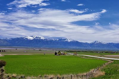 Scenic view of agricultural field against sky