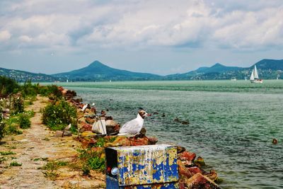 People sitting on land by sea against sky