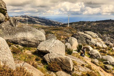 Sheep on rock against sky