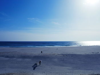 View of birds on beach against sky