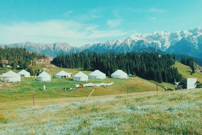 Scenic view of rural landscape