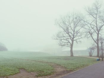 Bare trees on field in foggy weather