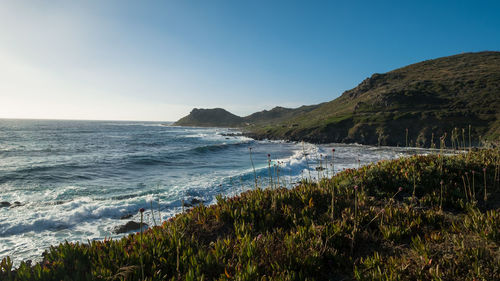 Scenic view of sea against clear blue sky