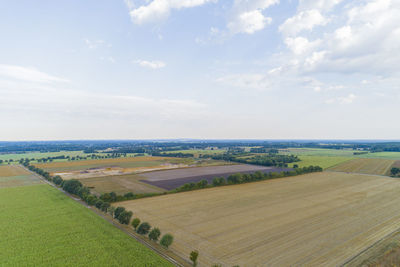 Aerial view of agricultural field