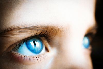 Extreme close up of human eye