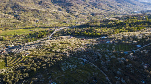 High angle view of trees on landscape