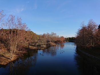 Scenic view of lake in forest against blue sky