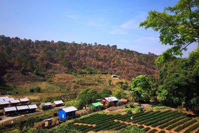 Scenic view of landscape against sky