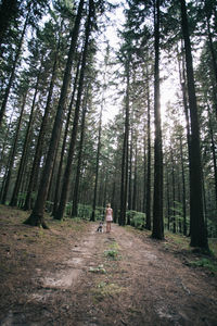 Woman standing amidst trees in forest