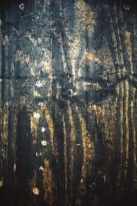 Full frame shot of tree