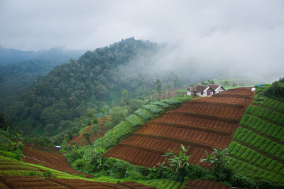 Aerial view of agricultural landscape