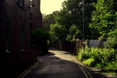 Street amidst trees in city against sky