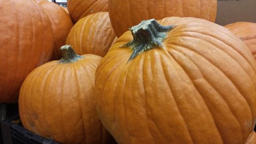 Close-up of pumpkin for sale at market stall