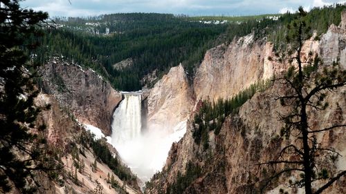 High angle view of waterfall amidst trees