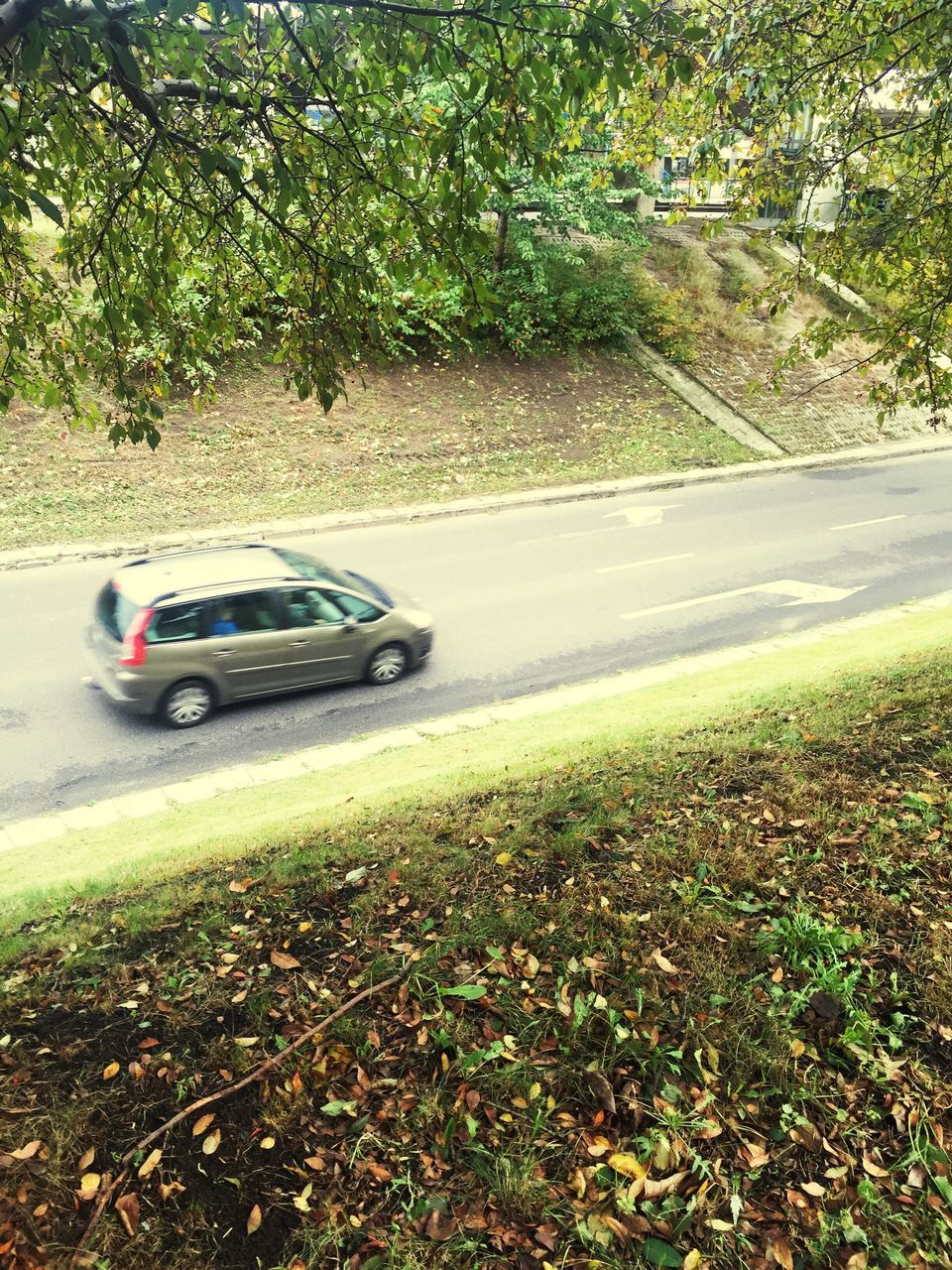 CAR ON DIRT ROAD