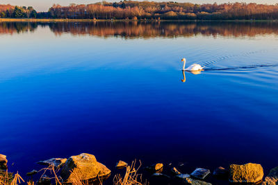 Scenic view of calm lake