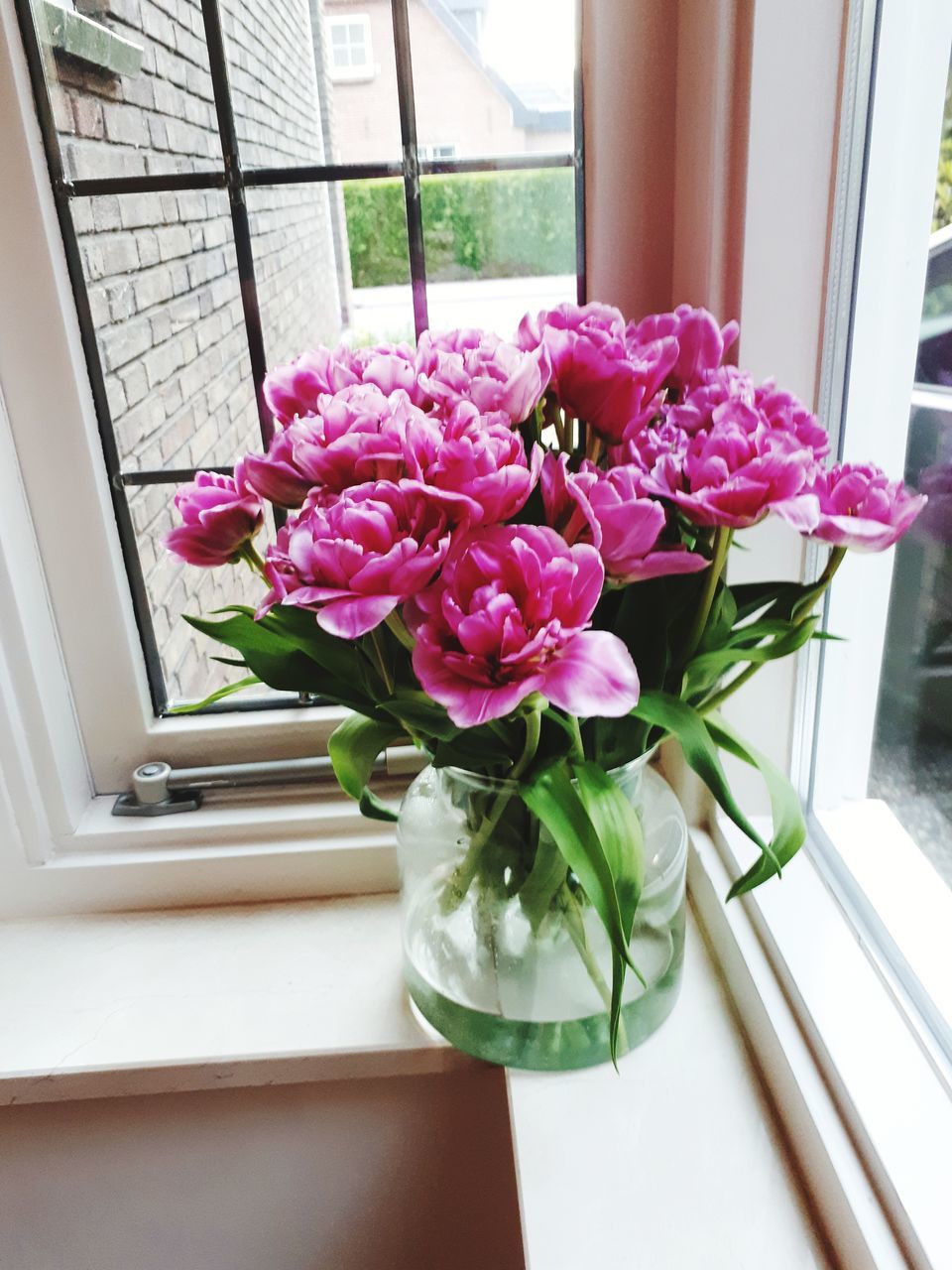 CLOSE-UP OF PINK FLOWER VASE ON TABLE AGAINST WINDOW