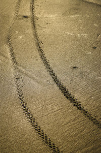 Bicycle wheel tracks on the wet sand