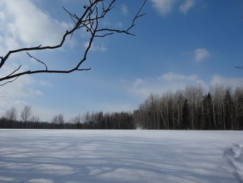 Bare trees on snow covered field against sky