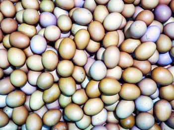 Full frame shot of blueberries