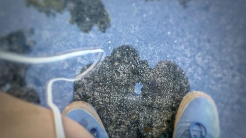 Close-up of hands in water