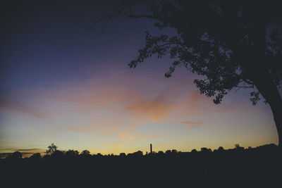 Silhouette trees against sky during sunset