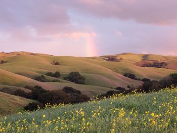 Scenic view of landscape against sky