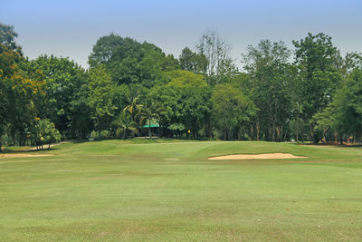 View of golf course against trees
