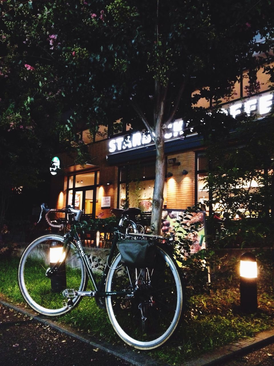 building exterior, built structure, architecture, tree, illuminated, house, land vehicle, night, parking, parked, stationary, bicycle, window, mode of transport, transportation, growth, no people, plant, outdoors, potted plant