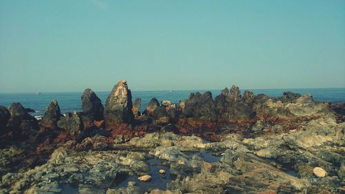 Scenic view of sea against clear sky