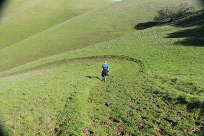 Rear view of man walking on field