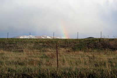 Scenic view of field against rainbow in sky