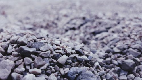 Surface level of pebbles