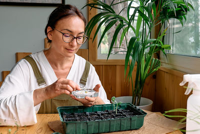 Woman sowing germinated seeds in mini greenhouse at home. home leisure growing seedlings at home.