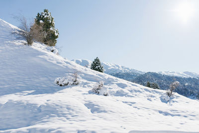 Snow on the mountain peaks on a clear sunny winter day, chimgan, uzbekistan