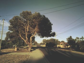 Road passing through trees