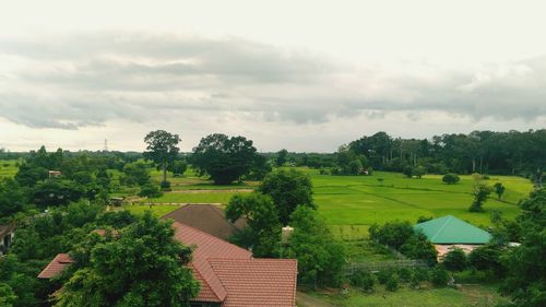 Scenic view of agricultural field against sky