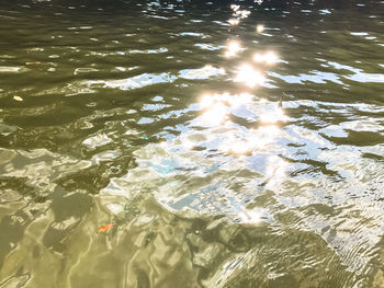 High angle view of swimming in lake