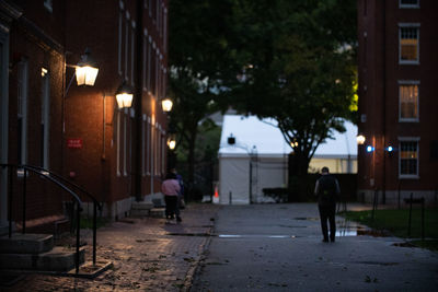 Rear view of people walking on street at night