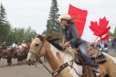 Man riding horses