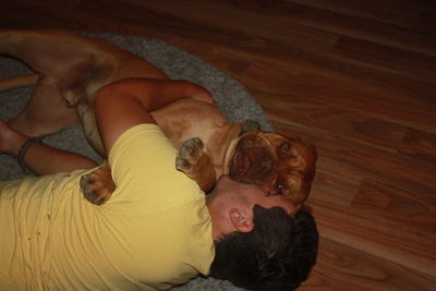High angle view of dog sleeping on bed
