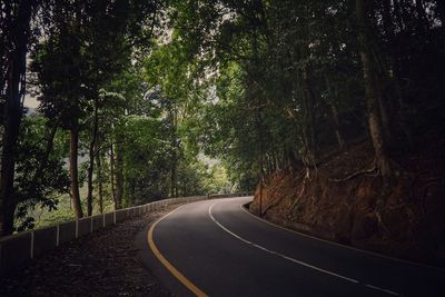 Road amidst trees in forest