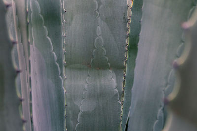 Close-up of metal fence against wall