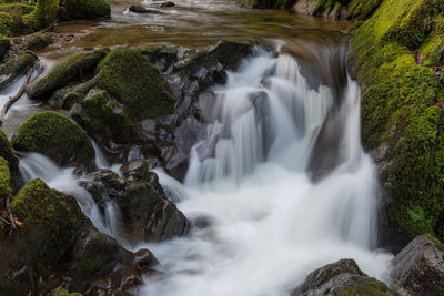 Scenic view of waterfall in forest