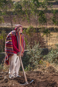 Side view of senior peruvian male farmer in traditional clothes using hoe and collecting potato in harvest season in highlands in chinchero