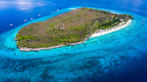 Aerial view of island amidst sea