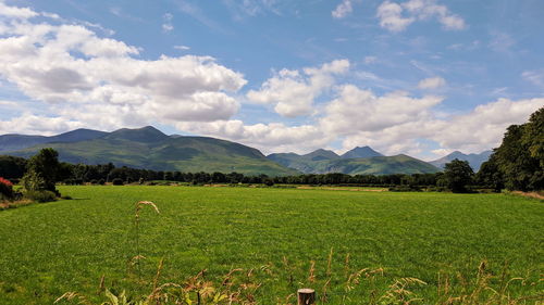 Scenic view of field against sky